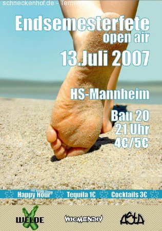 HS Endsemesterfete - Open Air Werbeplakat