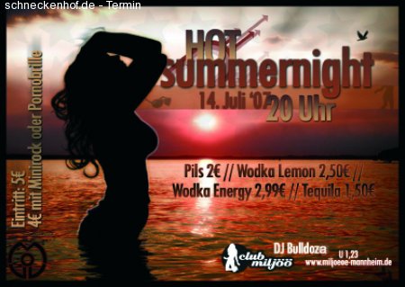 Hot Summernight ABI Party Werbeplakat