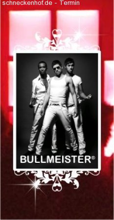 Bullmeister live Werbeplakat