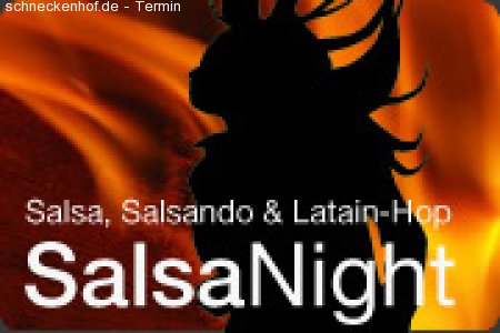 SalsaNight Werbeplakat