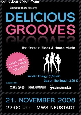 Delicious Grooves Vol. IV Werbeplakat