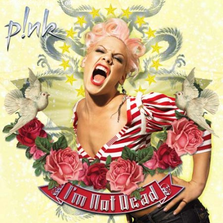 Pink Funhouse Tour 2009 Werbeplakat