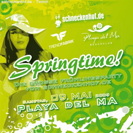 Springtime! Lets Party! Werbeplakat