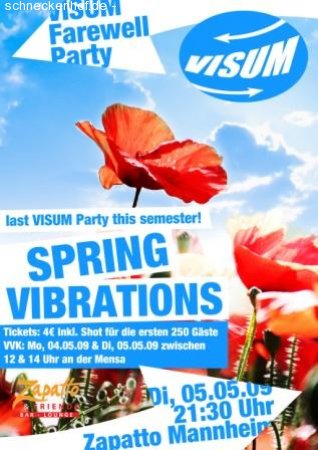 VISUM Farewell Party Werbeplakat