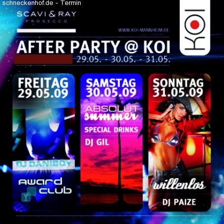 KOI Club @ Stadtfest Werbeplakat