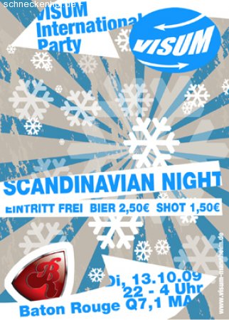 VISUM Scandinavian Night Werbeplakat