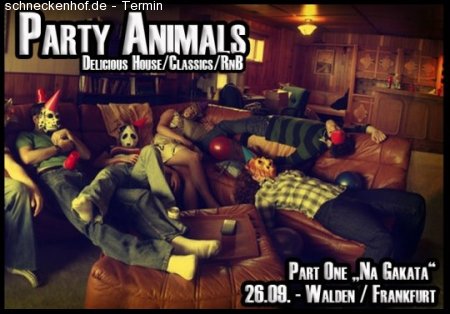Party Animals Werbeplakat