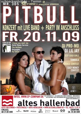 Pitbull Konzert mit Live Band Werbeplakat