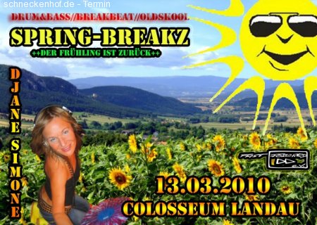 Spring-Breakz Werbeplakat