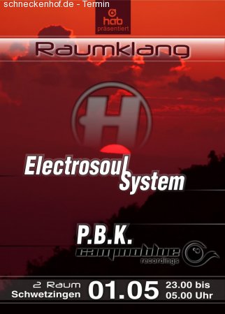 Raumklang Spontan: Electrosoul System + P.B.K. Werbeplakat