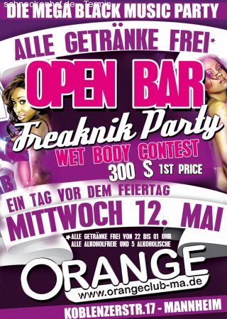Open Bar meets Freaknik Werbeplakat