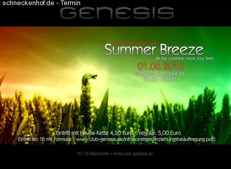 Summer Breeze Party Werbeplakat