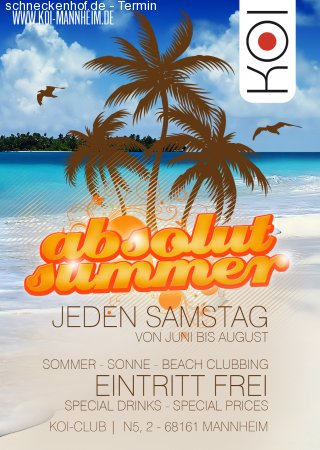 Absolut Summer - DJ Paize Werbeplakat
