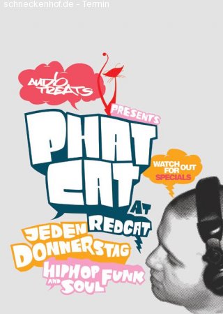 Phat Cat vs. Denyo & Co Werbeplakat