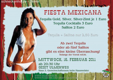 Fiesta Mexicana Werbeplakat