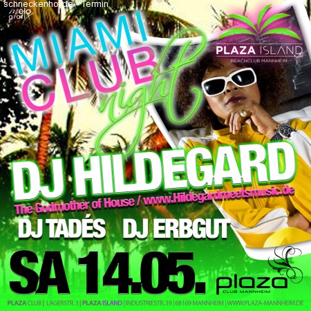 Miami Club Night Dj Hildegard Werbeplakat