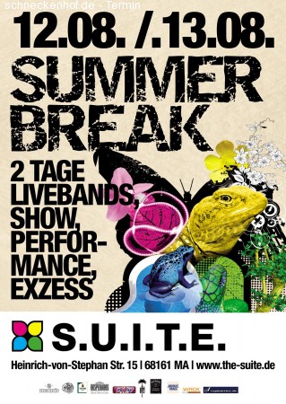 Summerbreak 2011 - Tag 1 Werbeplakat