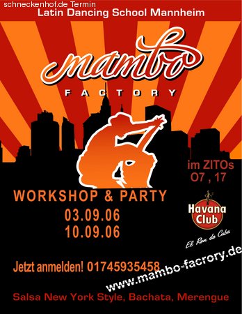 Salsa Workshop &Party Werbeplakat