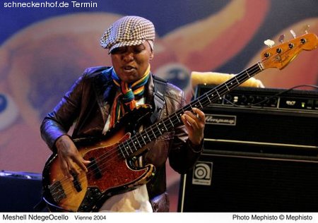 Enjoy Jazz: Meshell Ndegeocell Werbeplakat