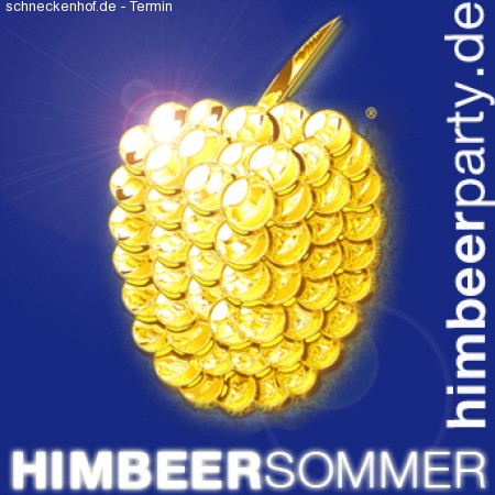 Himbeerparty Sommer Closing Werbeplakat