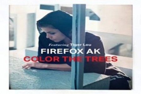 Firefox AK + 15 Jahre Unheilb. Werbeplakat
