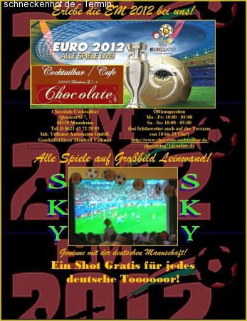EM Fußballparty Werbeplakat