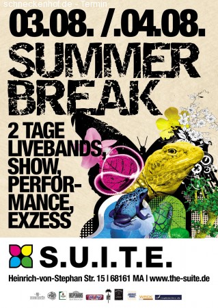 Summerbreak 2012 Werbeplakat