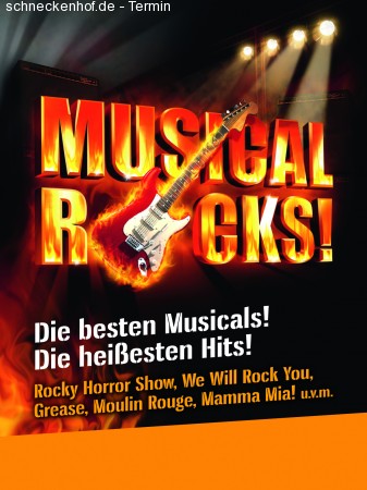 MUSICAL ROCKS Werbeplakat