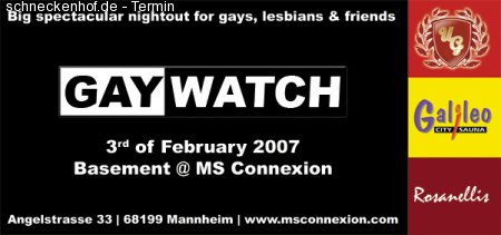 Gaywatch Werbeplakat