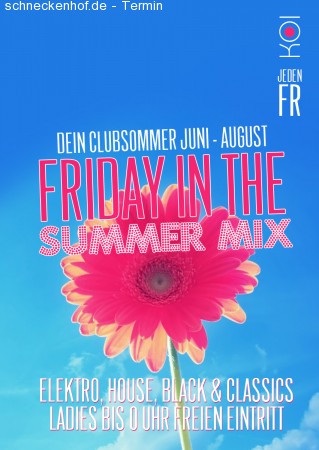 Friday in the Summer Mix Werbeplakat