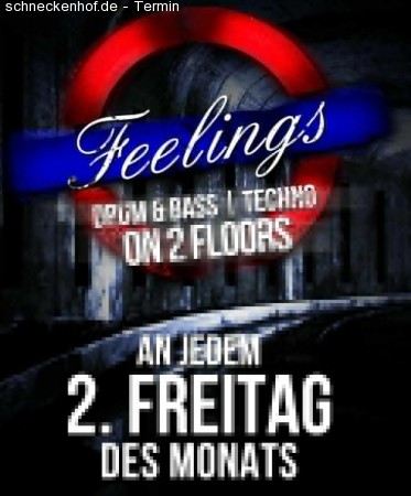 Feelings Mit Bassface& E.decay Werbeplakat