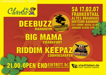 Irieginal Dancehall Vibez Werbeplakat