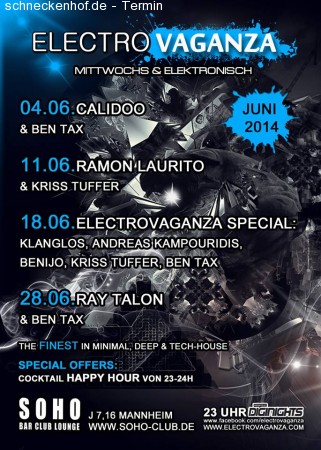 Electrovaganza - Calidoo in the Mix Werbeplakat
