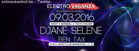 Electrovaganza • DJane Selene in the Mix Werbeplakat